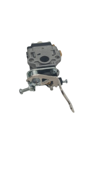 Carburador Bomba agua WP-10