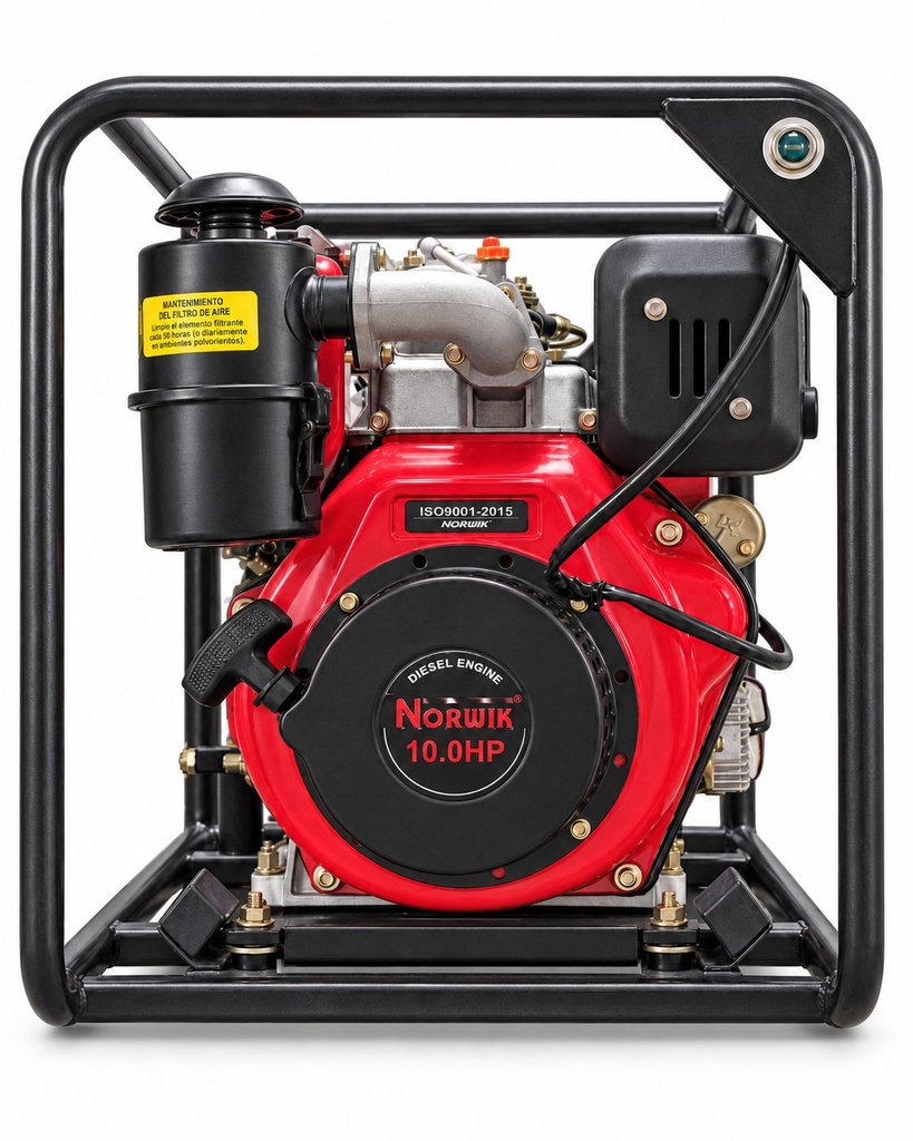 Bomba de agua NORWIK DNK30CP-18810-ES   (3x3) 10HP