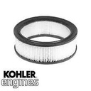 Filtro Aire CH18,CH20,CH22,CH23,CH25,CH620 CH640,CH670,CH680,CH730,CH740,CH750