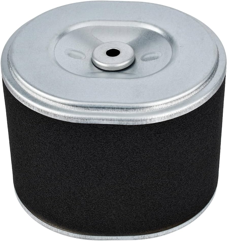 Filtro Aire Craftop DWP30 10HP.12HP,13HP (192F)