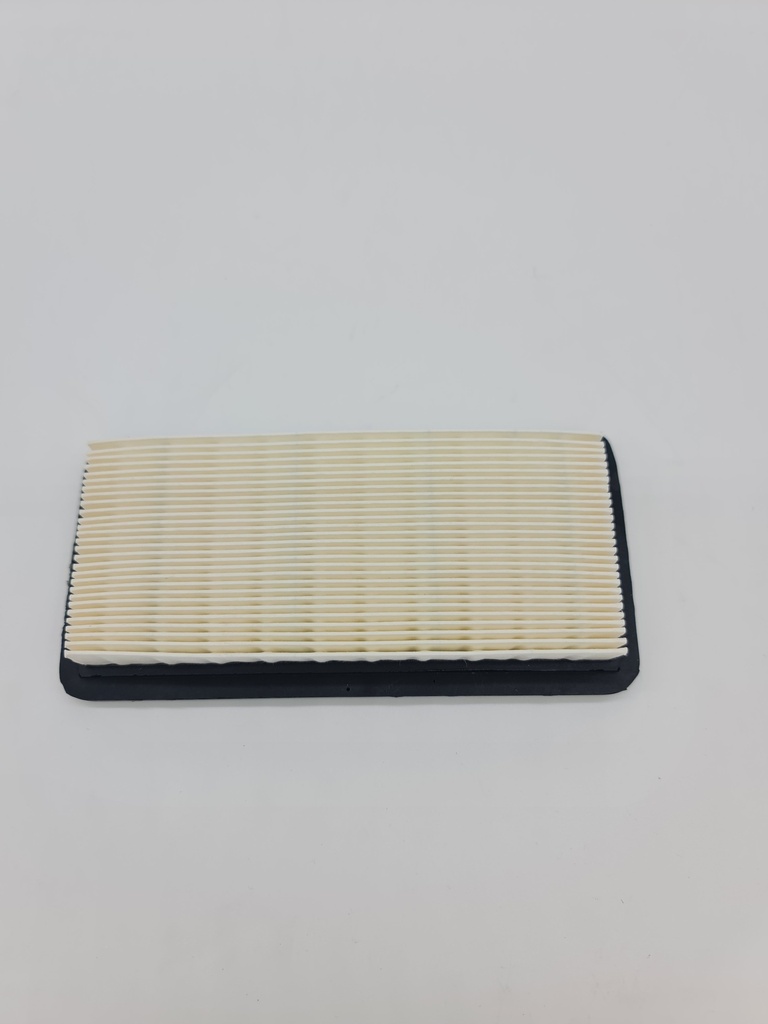 Filtro Aire Maruyama BL9000