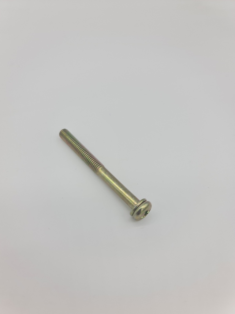 [29010307600] Tornillo Carburador Olary TF900