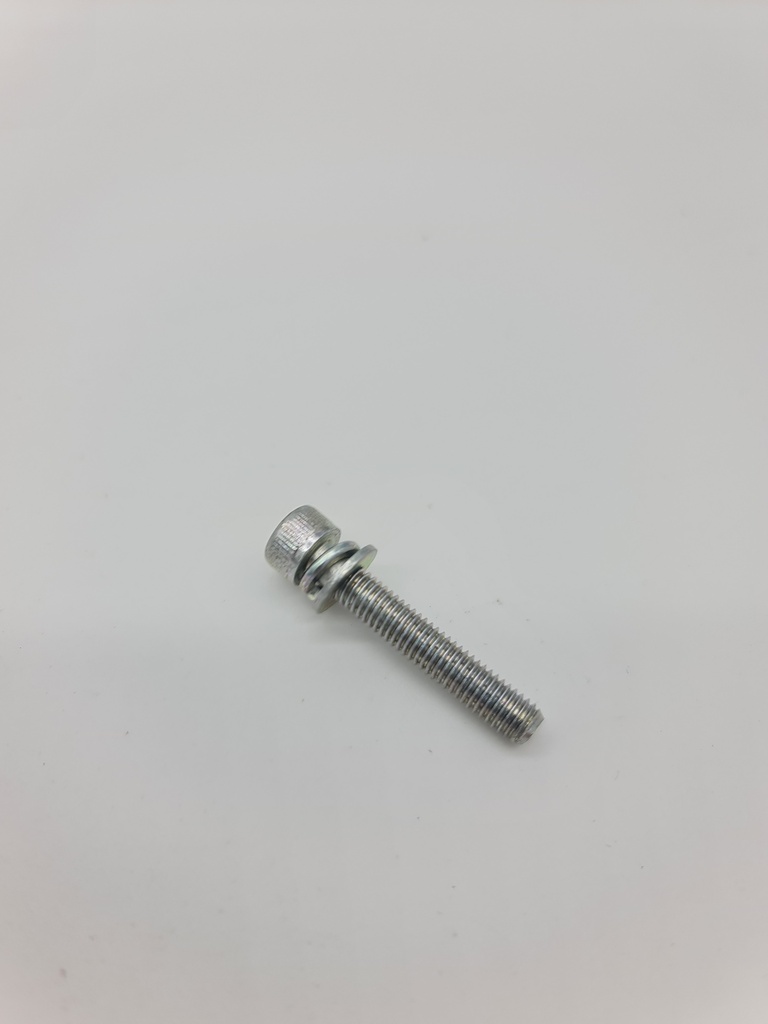 Tornillo Maruyama M5x30 varios Modelos