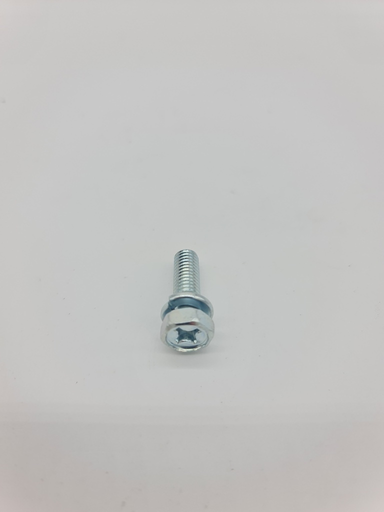Tornillo Maruyama M6x20 varios Modelos cambio Codigo 089744