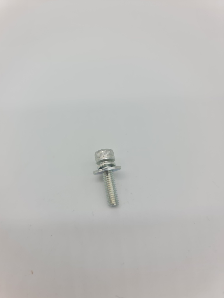Tornillo Tapa de Arranque Maruyama BCF42HT- BC329H