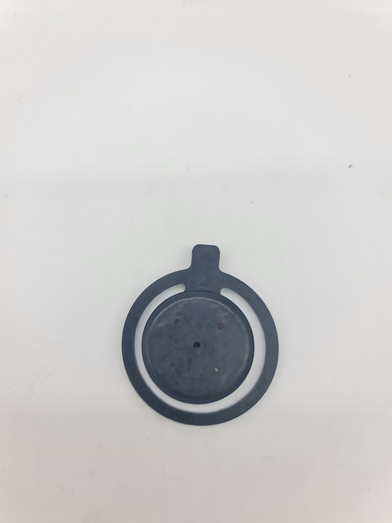 Valvula Retencion Maruyama BP252A