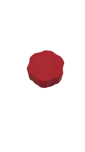 [21320200200] Tapa de Drenaje Tanque Liquido Olary TF900