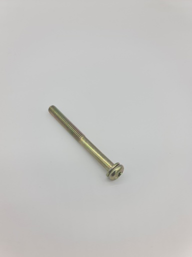 [29010307600] Tornillo Carburador Olary TF900