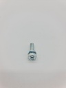 Tornillo Maruyama M6x20 varios Modelos cambio Codigo 089744