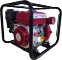 Bomba de agua OLARY GNK20CP-175