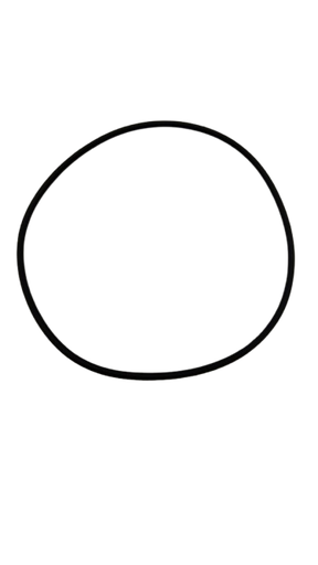 [18522170106] Orring Carcasa de Bomba  Craftop GWP-5210-15 