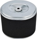 Filtro Aire Craftop DWP30 10HP.12HP,13HP (192F)