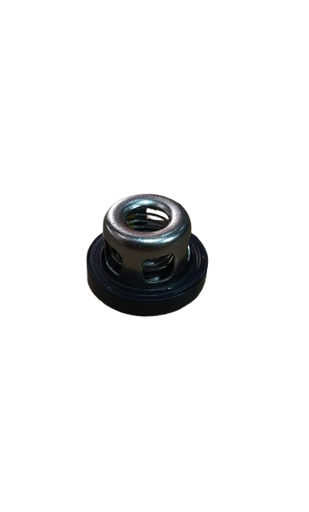 [ES30CHECKPRESION] Check de la Presión Ecomax ES-30