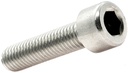 Tornillo Seguridad Palanca Aceleracion GS768,TF768